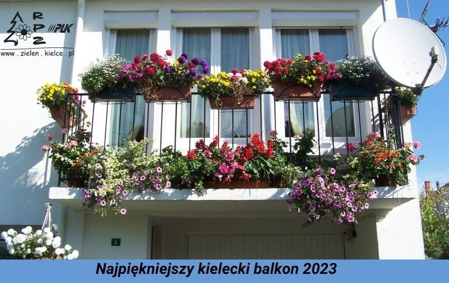 Zdjęcie do Konkurs na najpiękniejszy kielecki balkon 2023